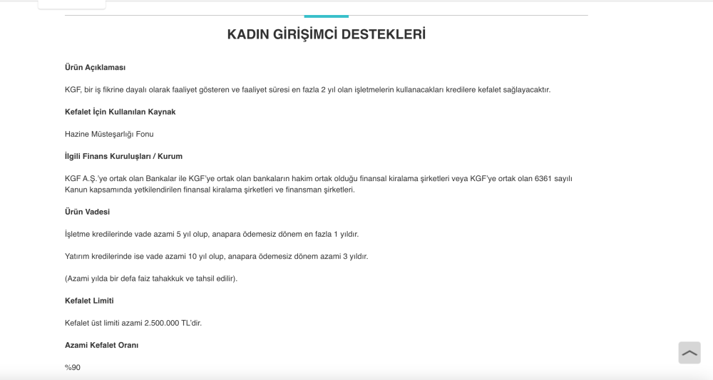 kadin girisimciler icin verilen tesvikler ve destekler nelerdir hangi kurum ve kuruluslar destek veriyor